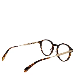 Brown Metal Glasses (Frames)