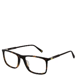 Brown Plastic Glasses (Frames)