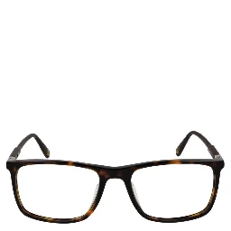 Brown Plastic Glasses (Frames)