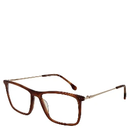 Brown Metal Glasses (Frames)