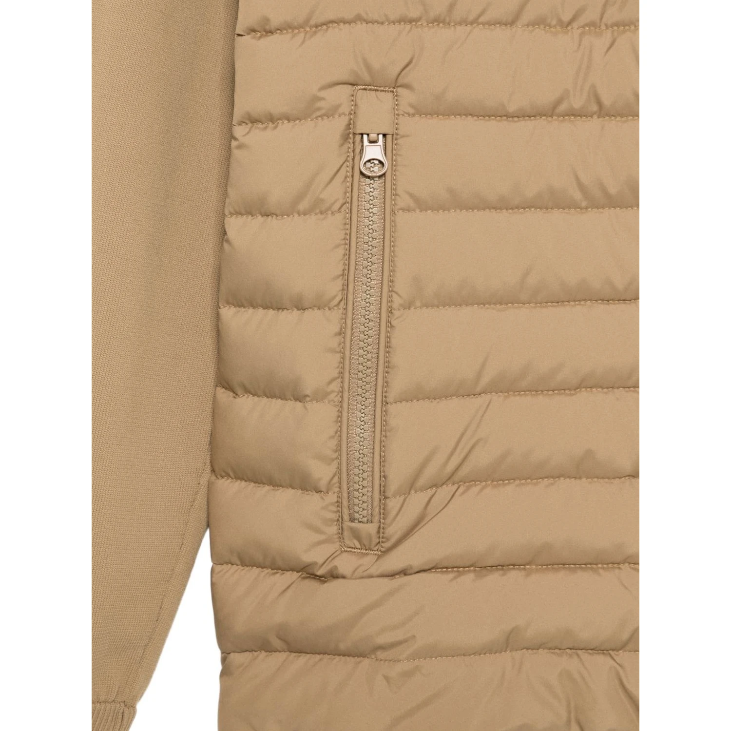 Save The Duck Jackets Brown