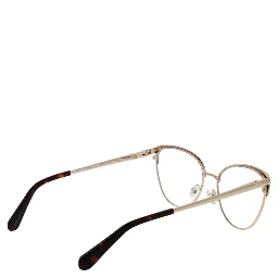 Brown Metal Glasses (Frames)