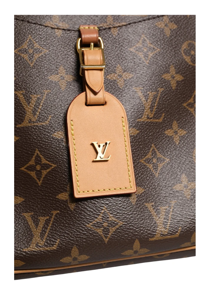 Monogram Canvas Odeon PM Crossbody Bag alternative