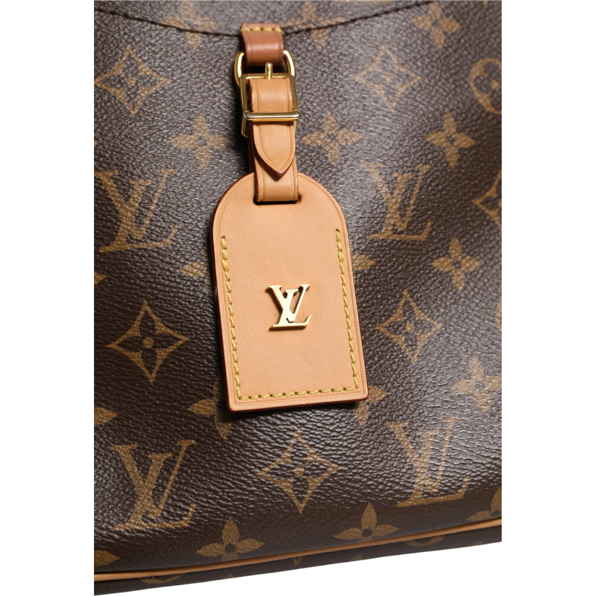 Monogram Canvas Odeon PM Crossbody Bag