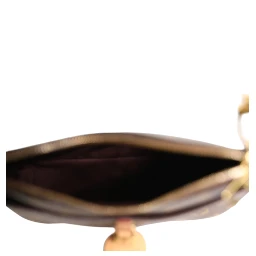 Monogram Canvas Odeon PM Crossbody Bag