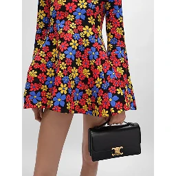 CELINE TRIOMPHE FOLIO bag