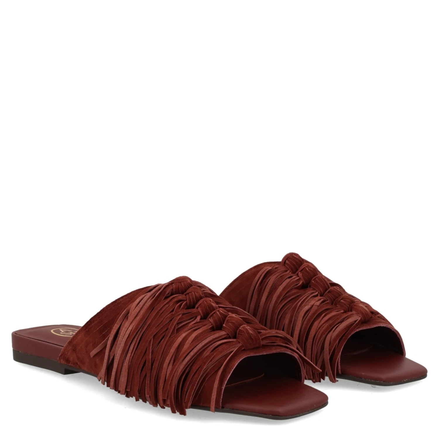 MULE "BRIGITTE"