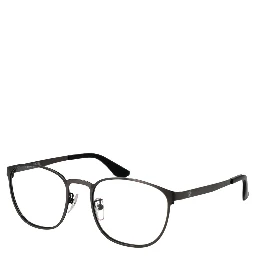 Gray Metal Glasses (Frames)