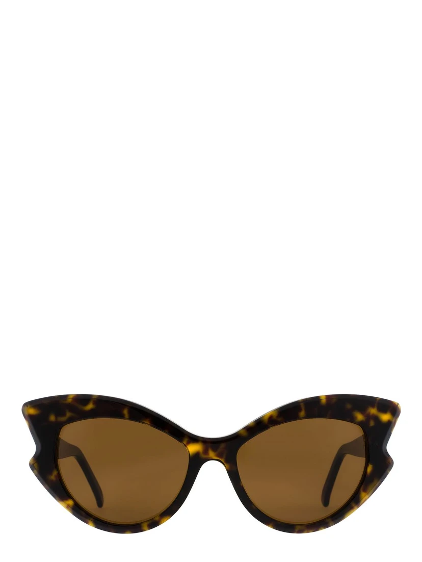 Brown Acetate Sunglasses