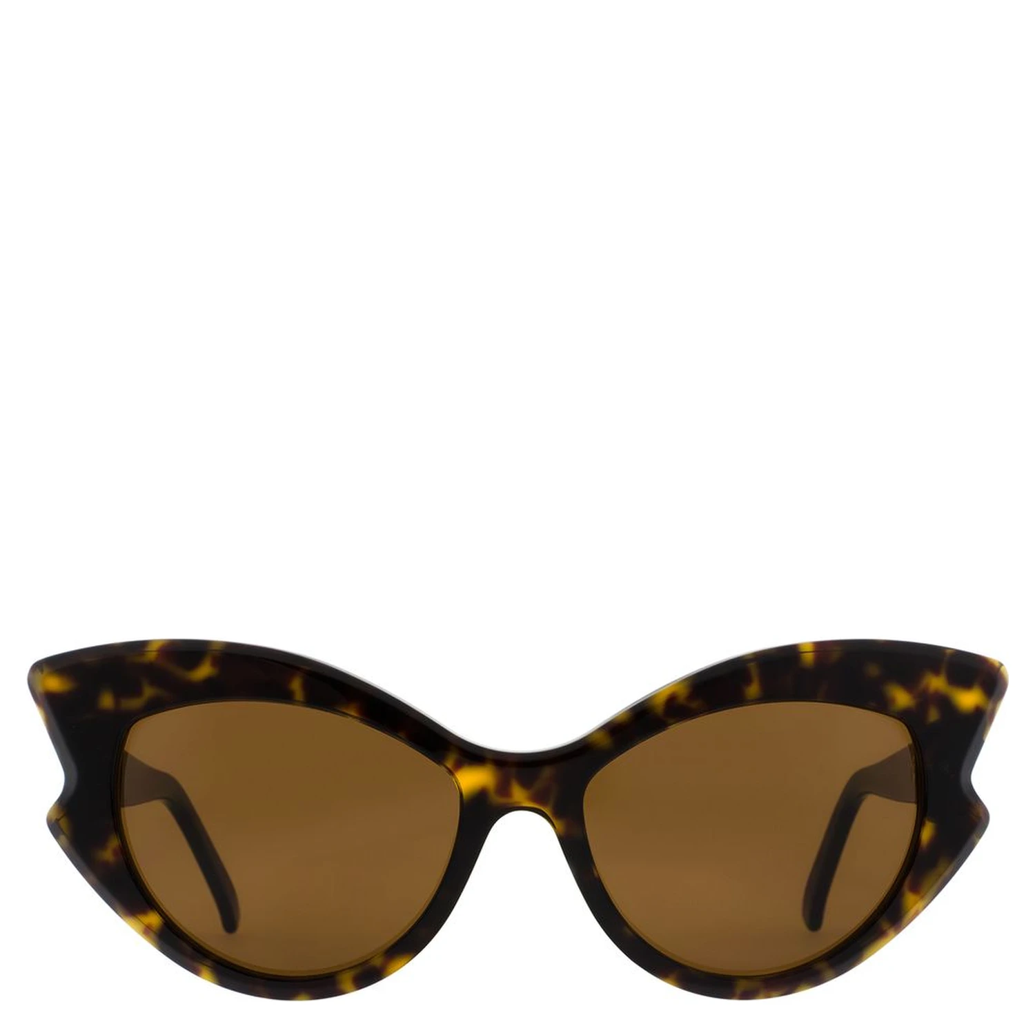 Brown Acetate Sunglasses