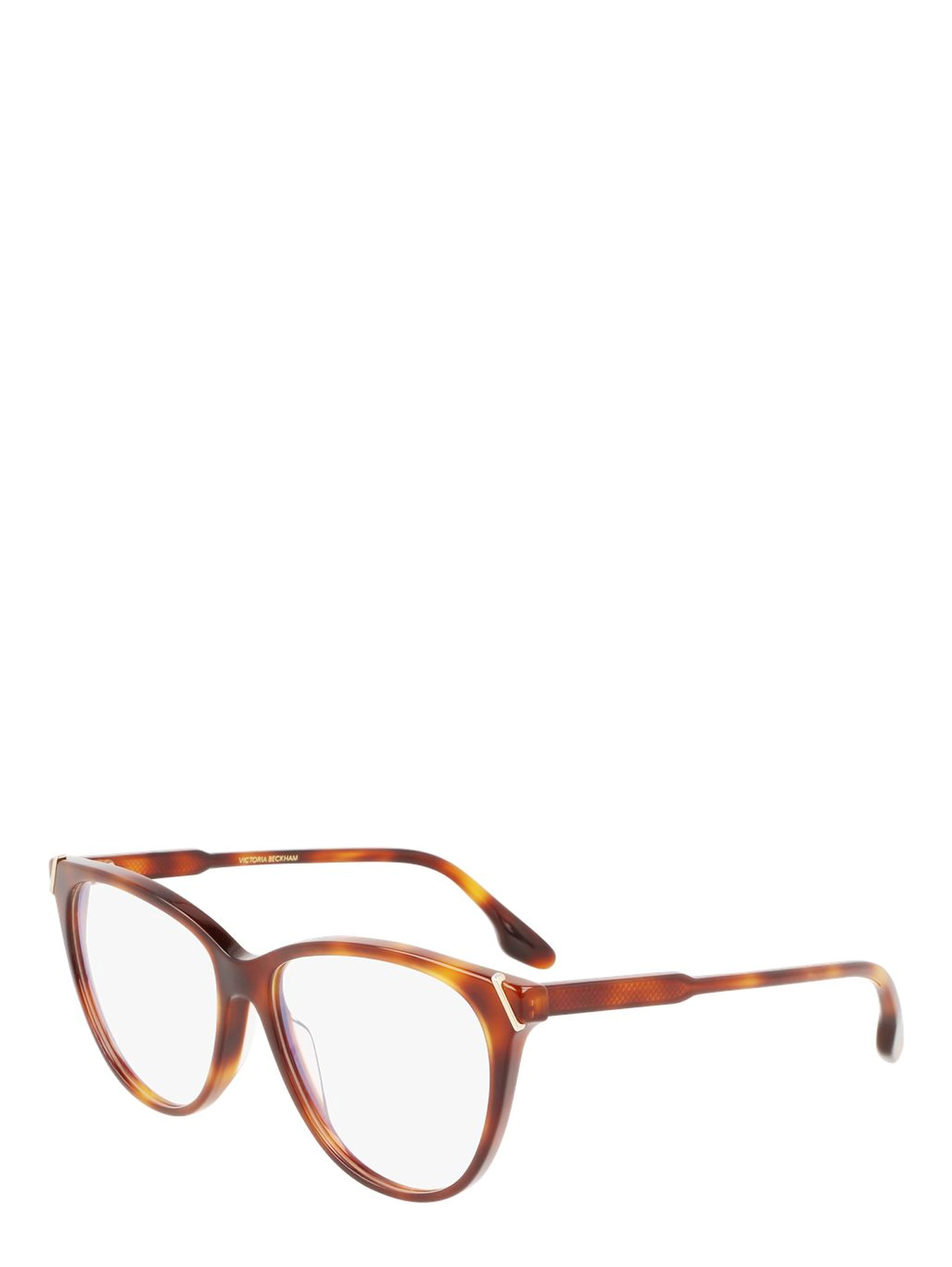 Brown Plastic Glasses (Frames)