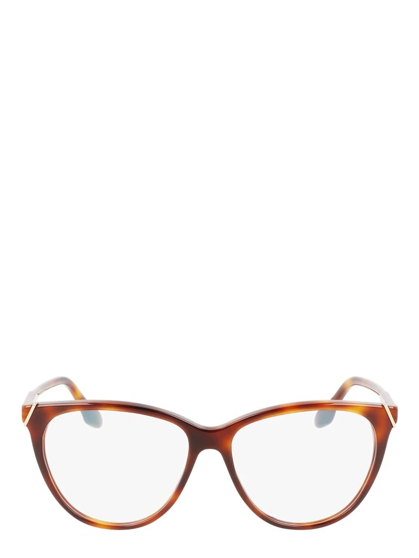Brown Plastic Glasses (Frames)