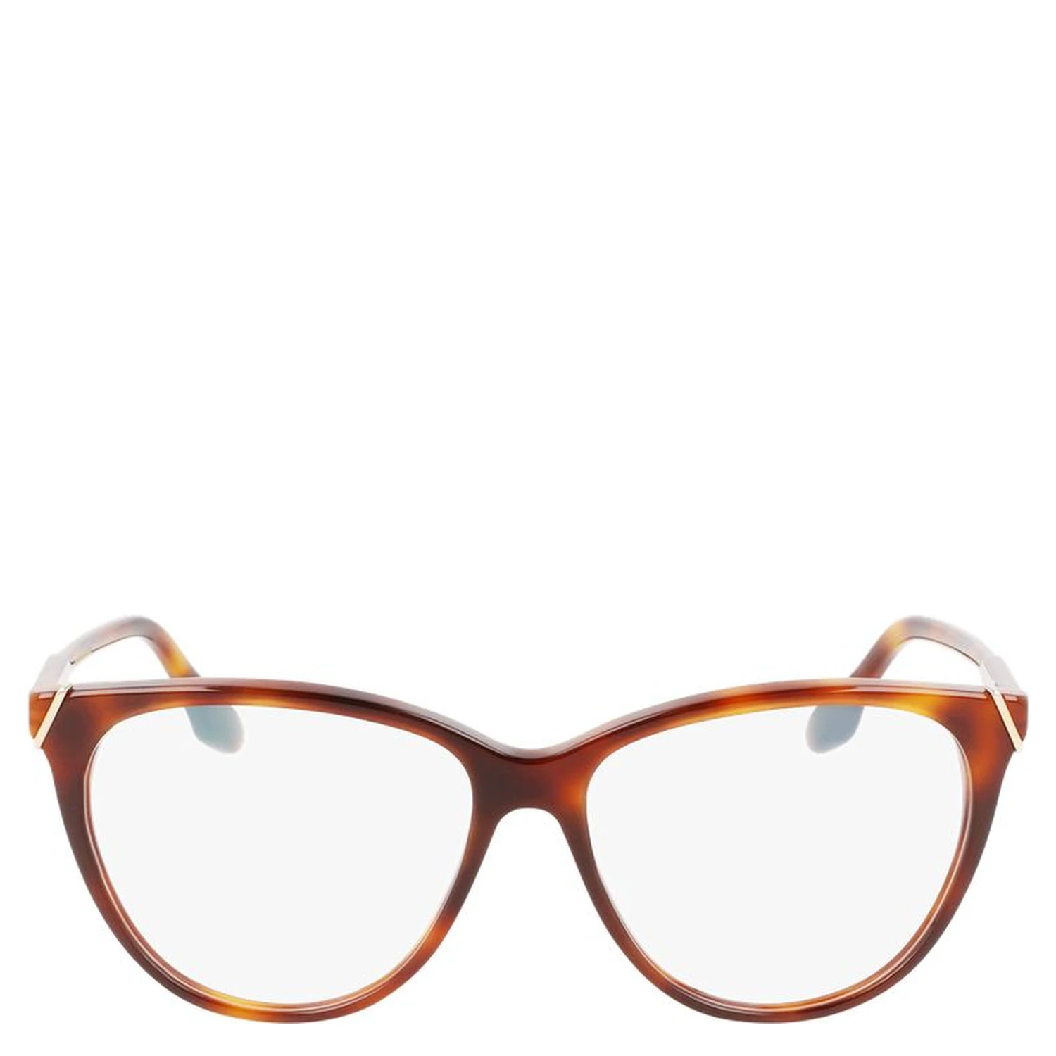 Brown Plastic Glasses (Frames)