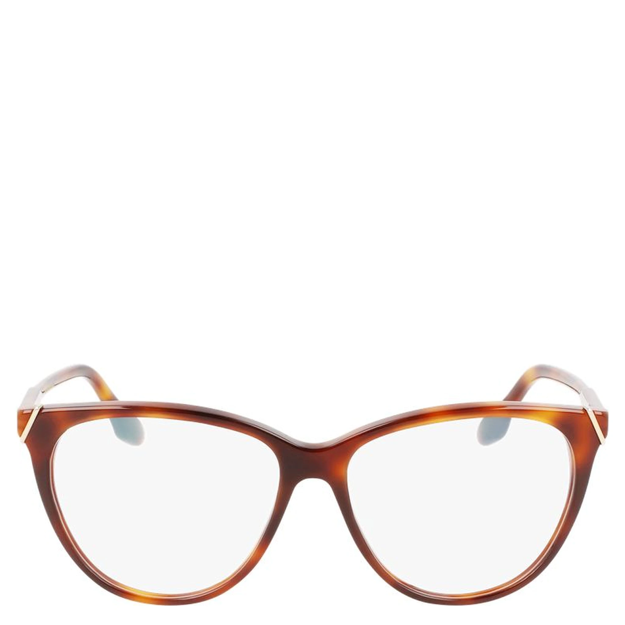 Brown Plastic Glasses (Frames)