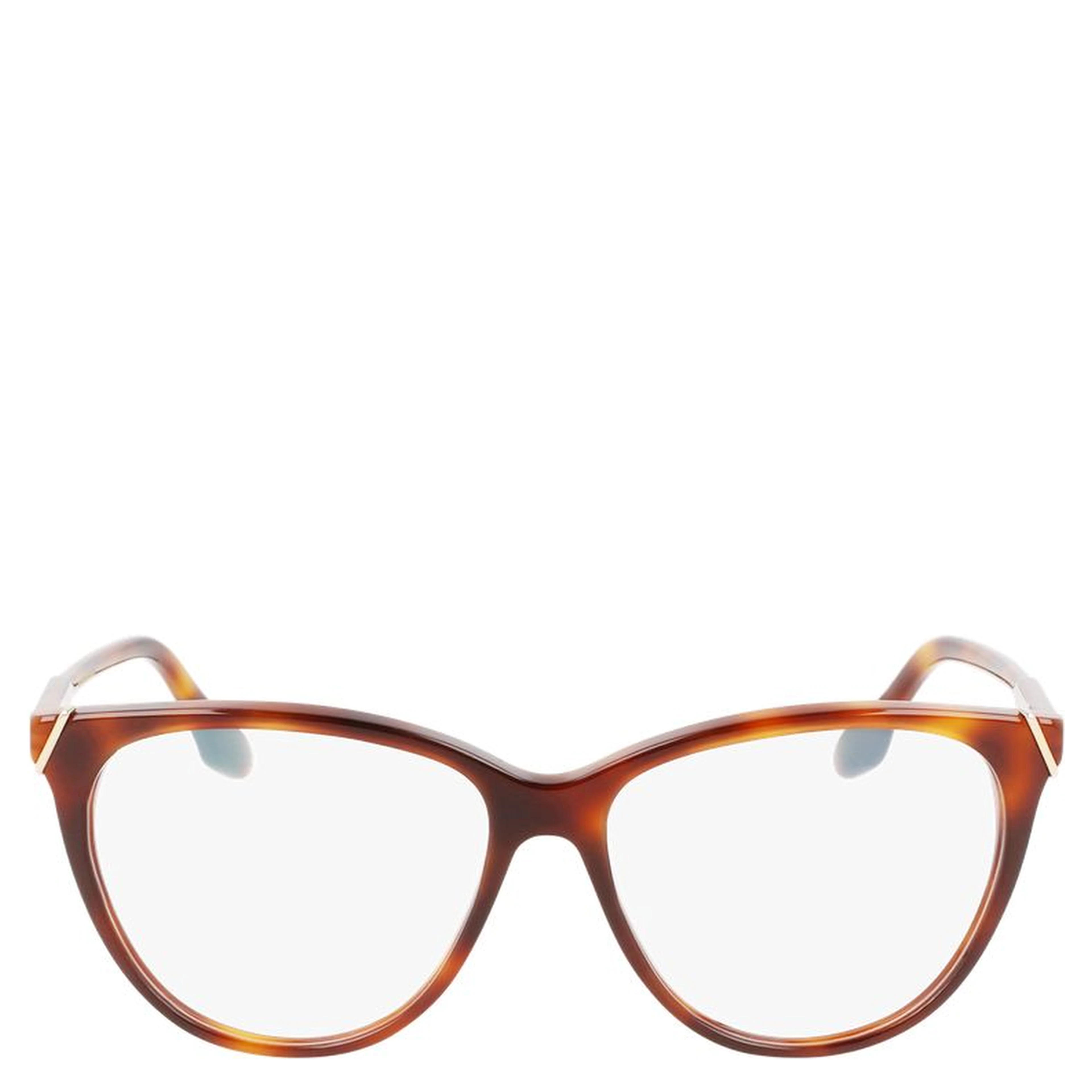 Brown Plastic Glasses (Frames)