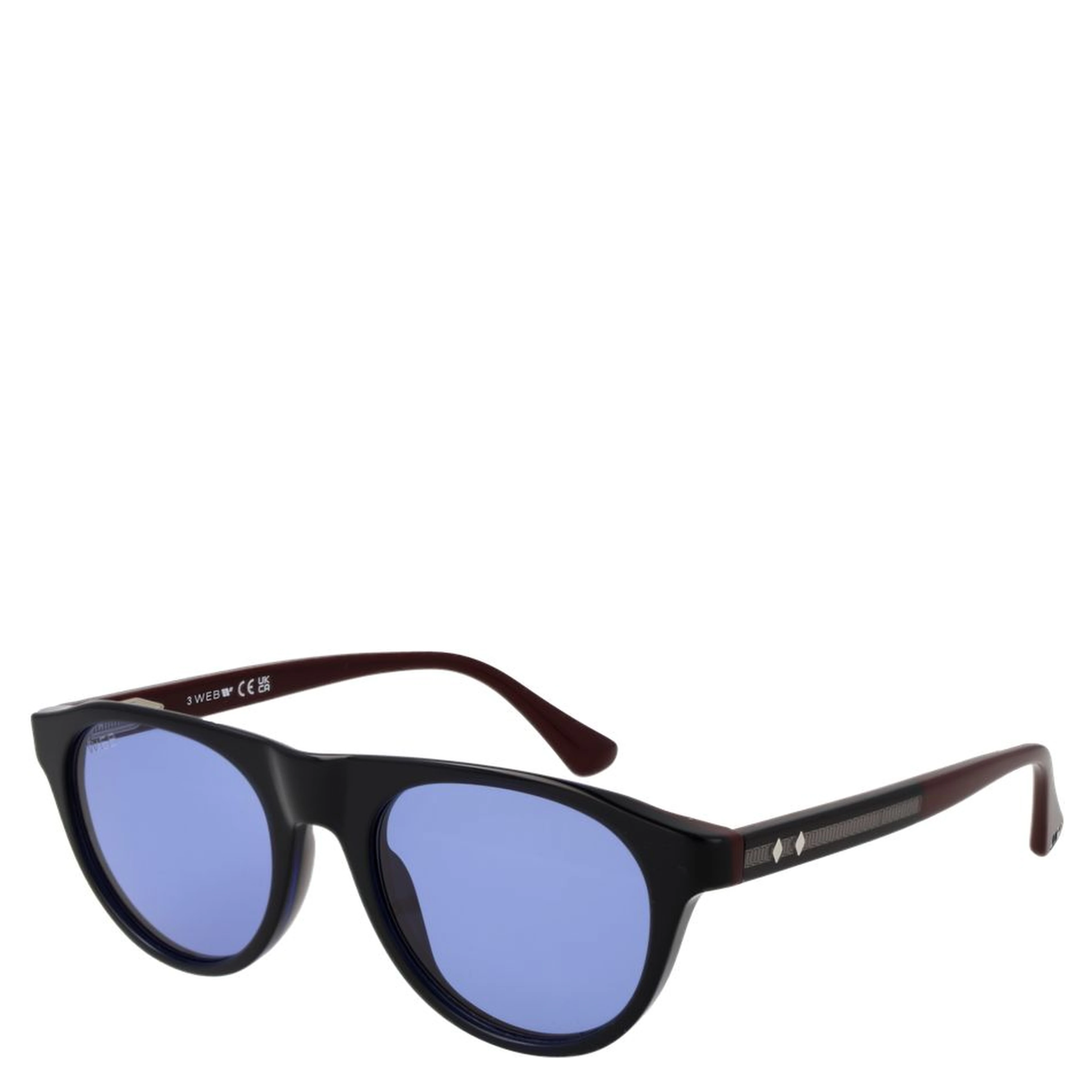 Blue Plastic Sunglasses