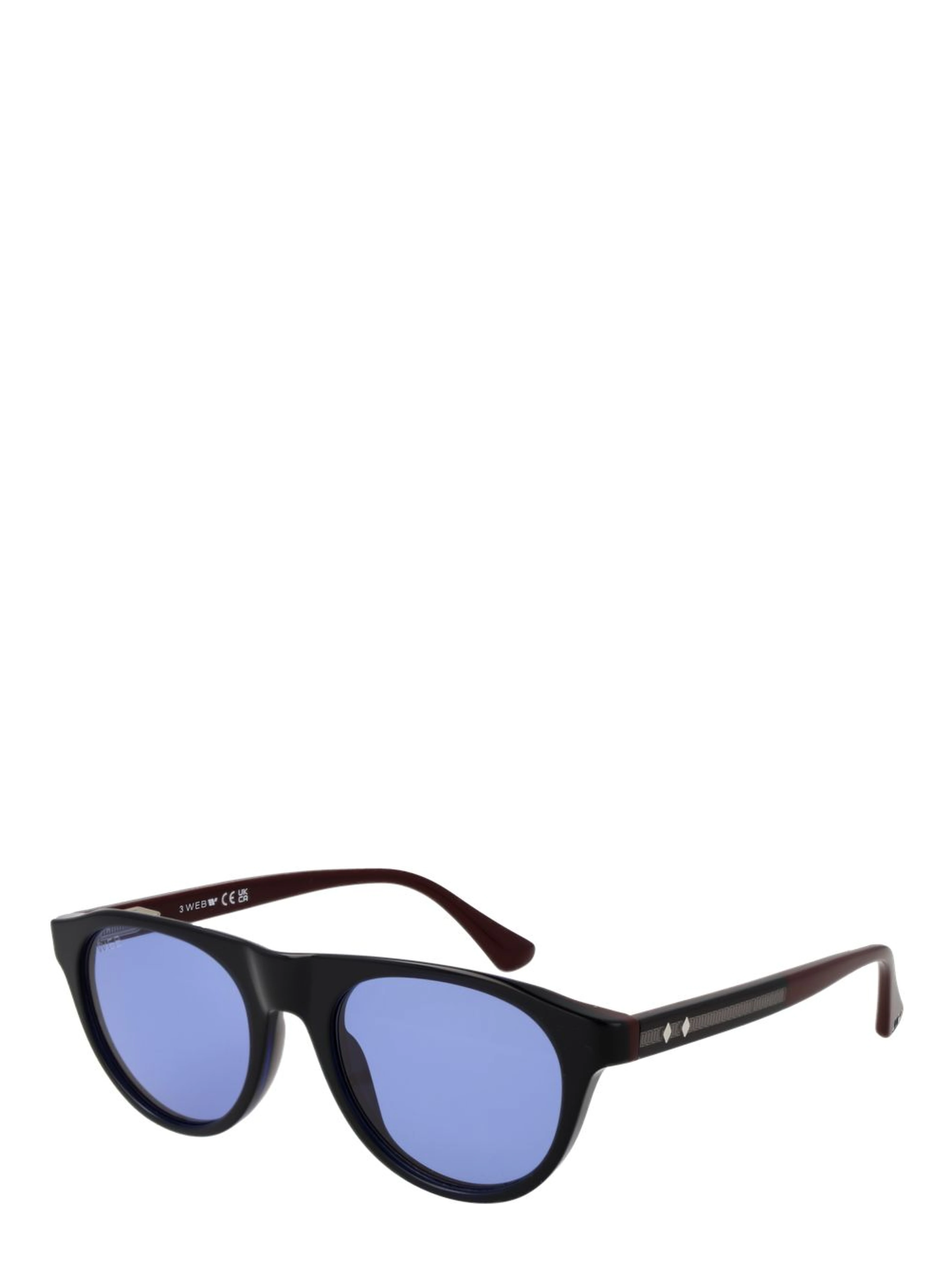 Blue Plastic Sunglasses