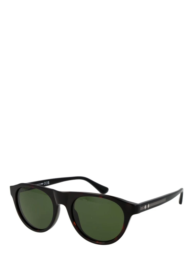 Brown Plastic Sunglasses