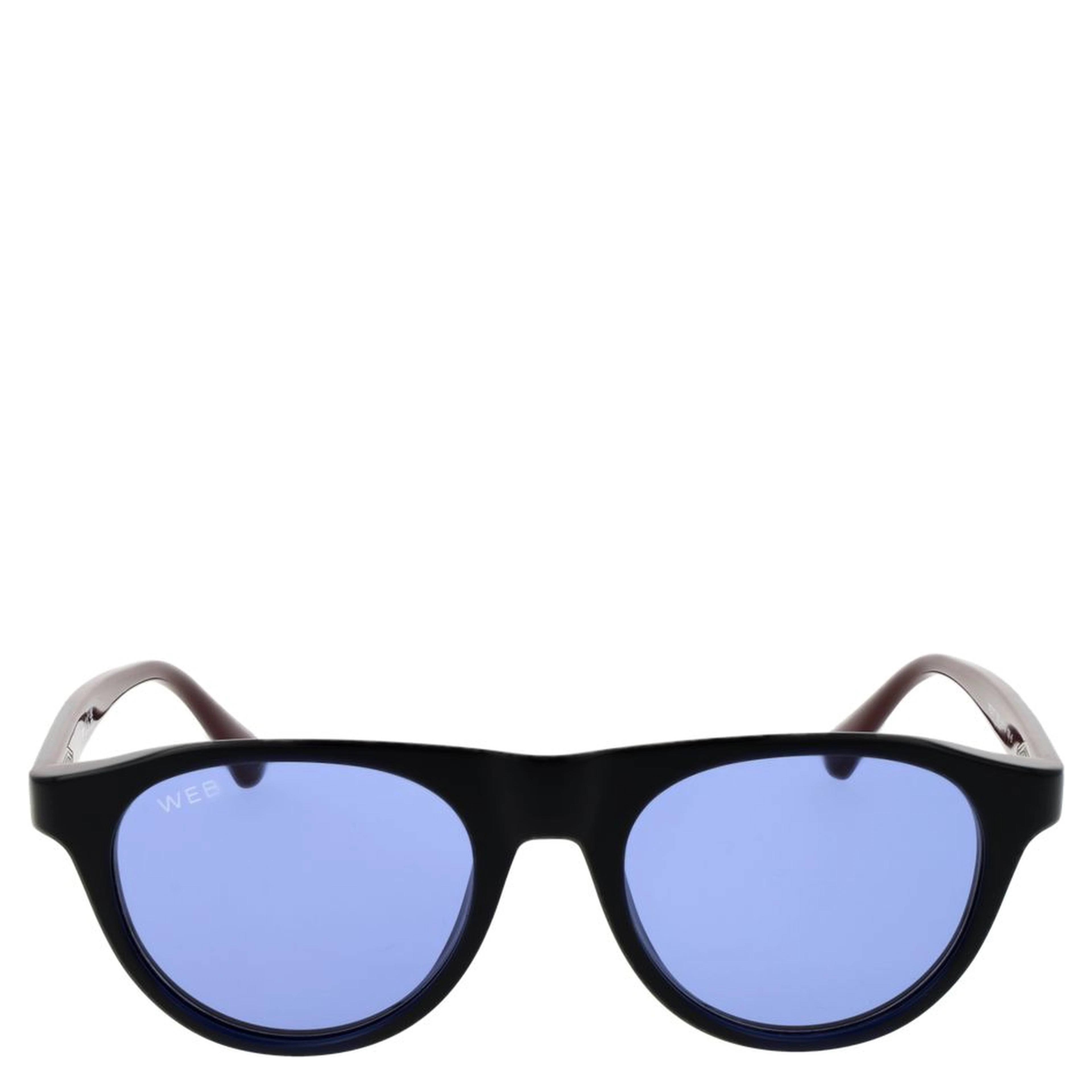 Blue Plastic Sunglasses