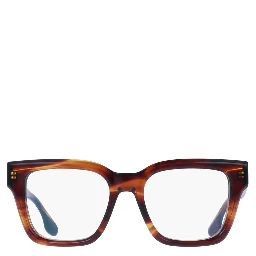 Brown Plastic Glasses (Frames)