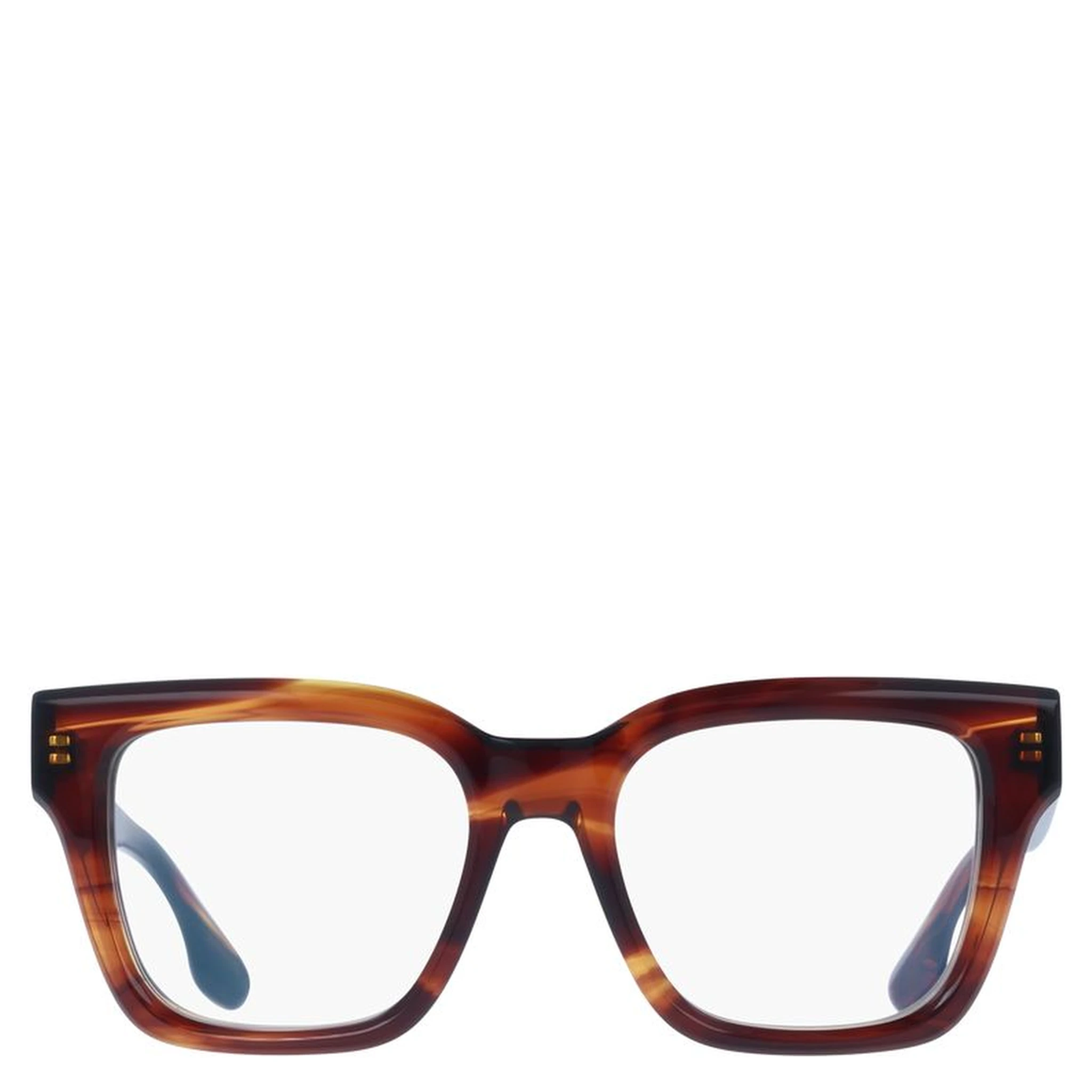Brown Plastic Glasses (Frames)