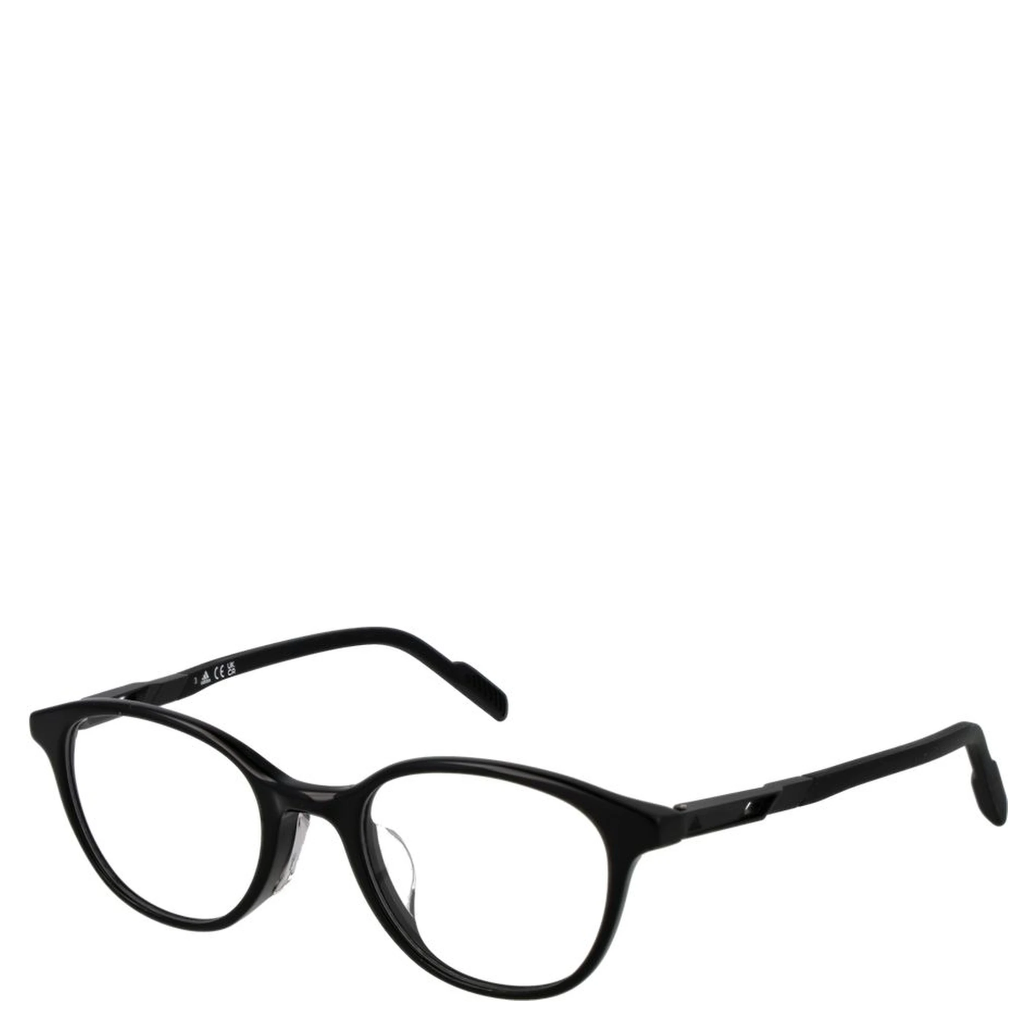Black Plastic Glasses (Frames)