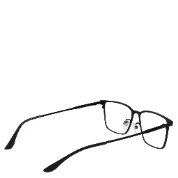 Black Titanium Glasses (Frames)