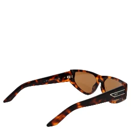 Brown Plastic Sunglasses