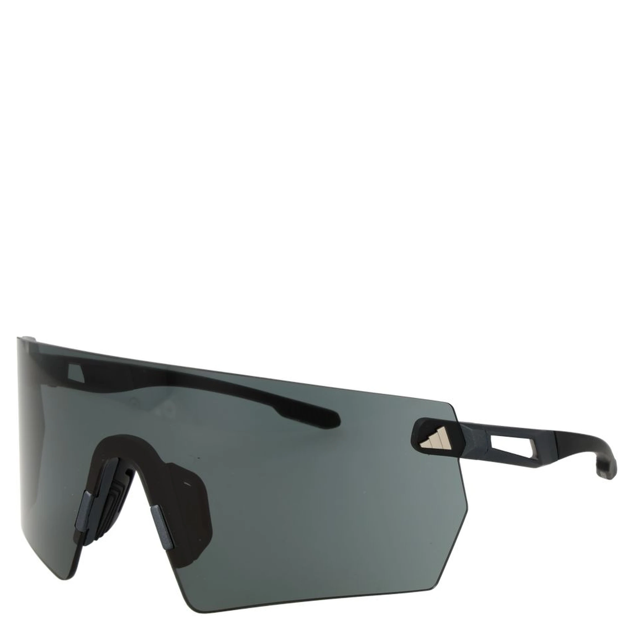 Black Plastic Sunglasses