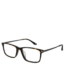 Brown Titanium Glasses (Frames)