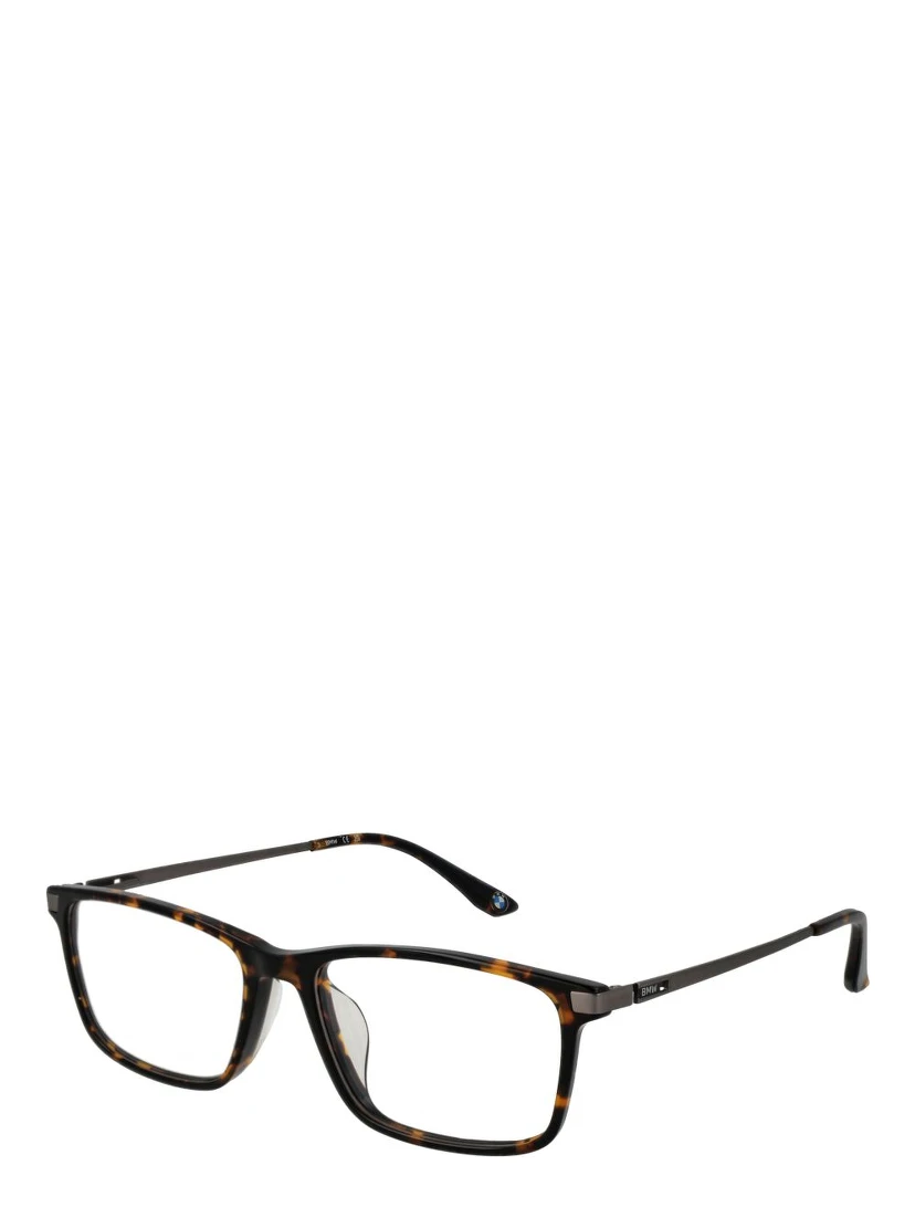 Brown Titanium Glasses (Frames)