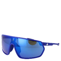 Blue Plastic Sunglasses