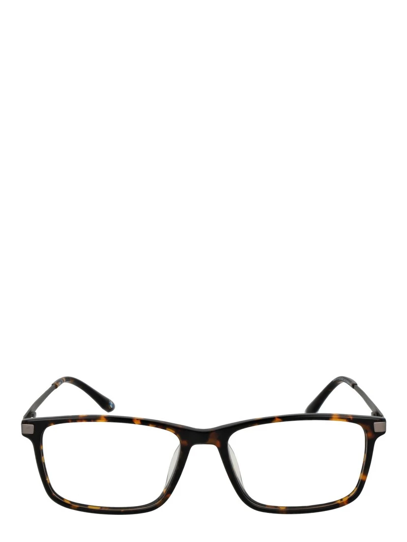Brown Titanium Glasses (Frames)