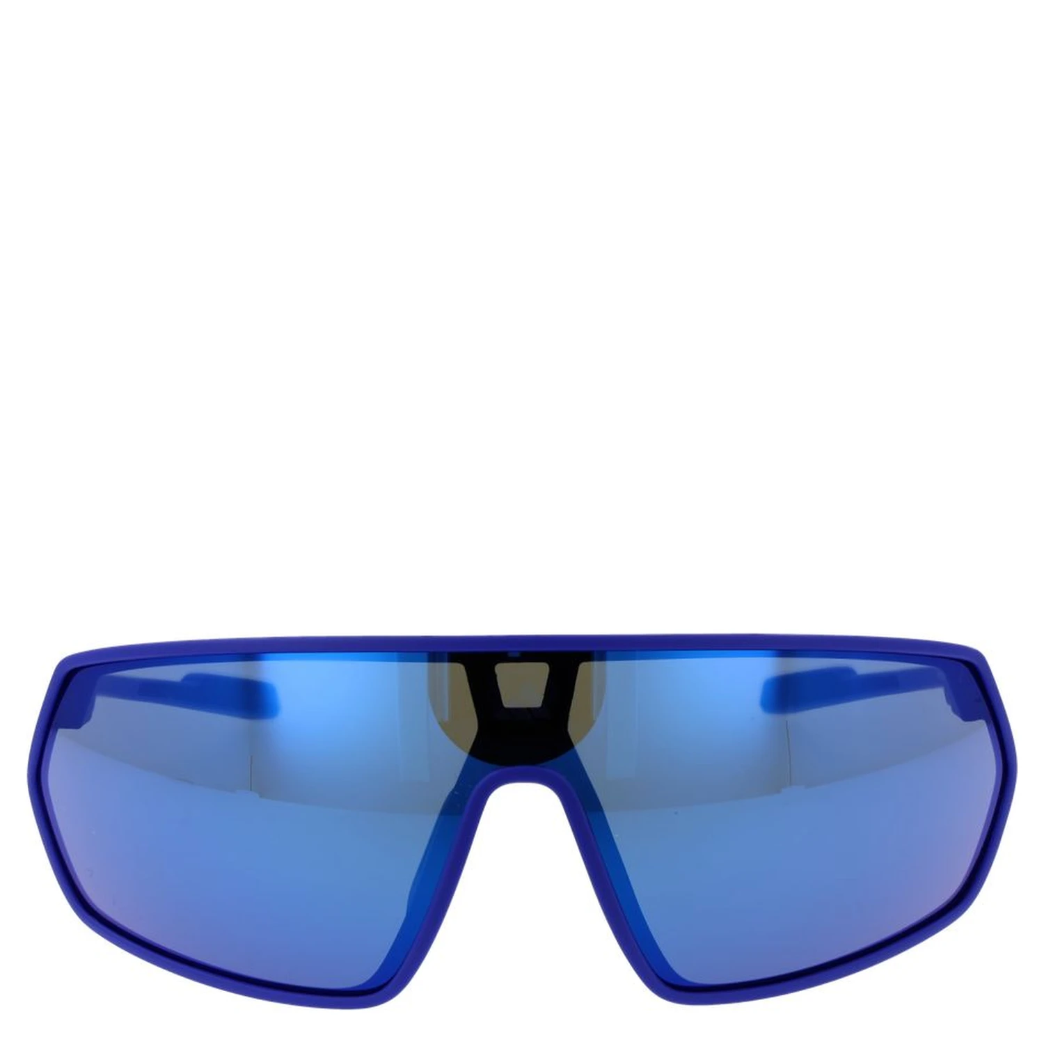 Blue Plastic Sunglasses