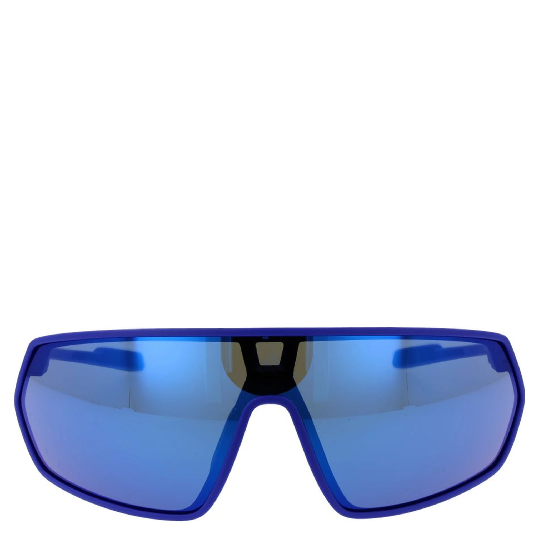 Blue Plastic Sunglasses