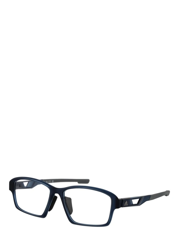 Blue Plastic Glasses (Frames)