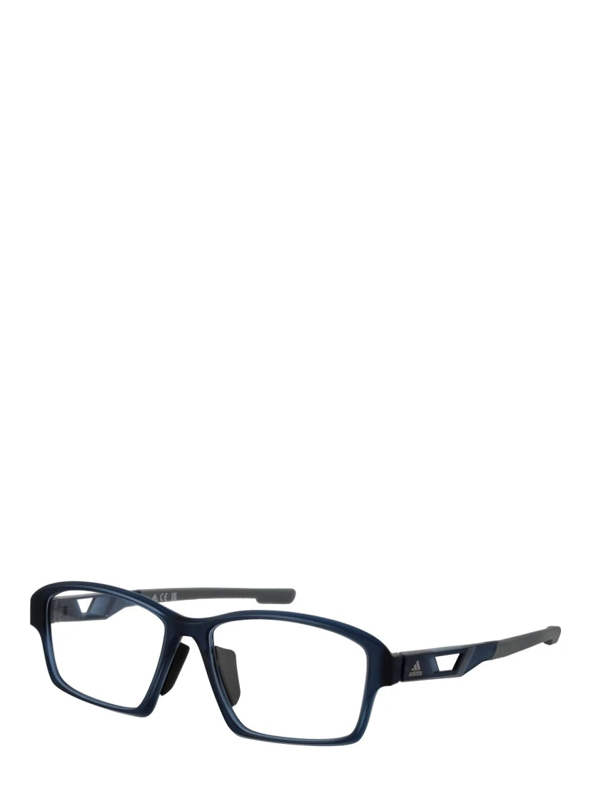 Blue Plastic Glasses (Frames)