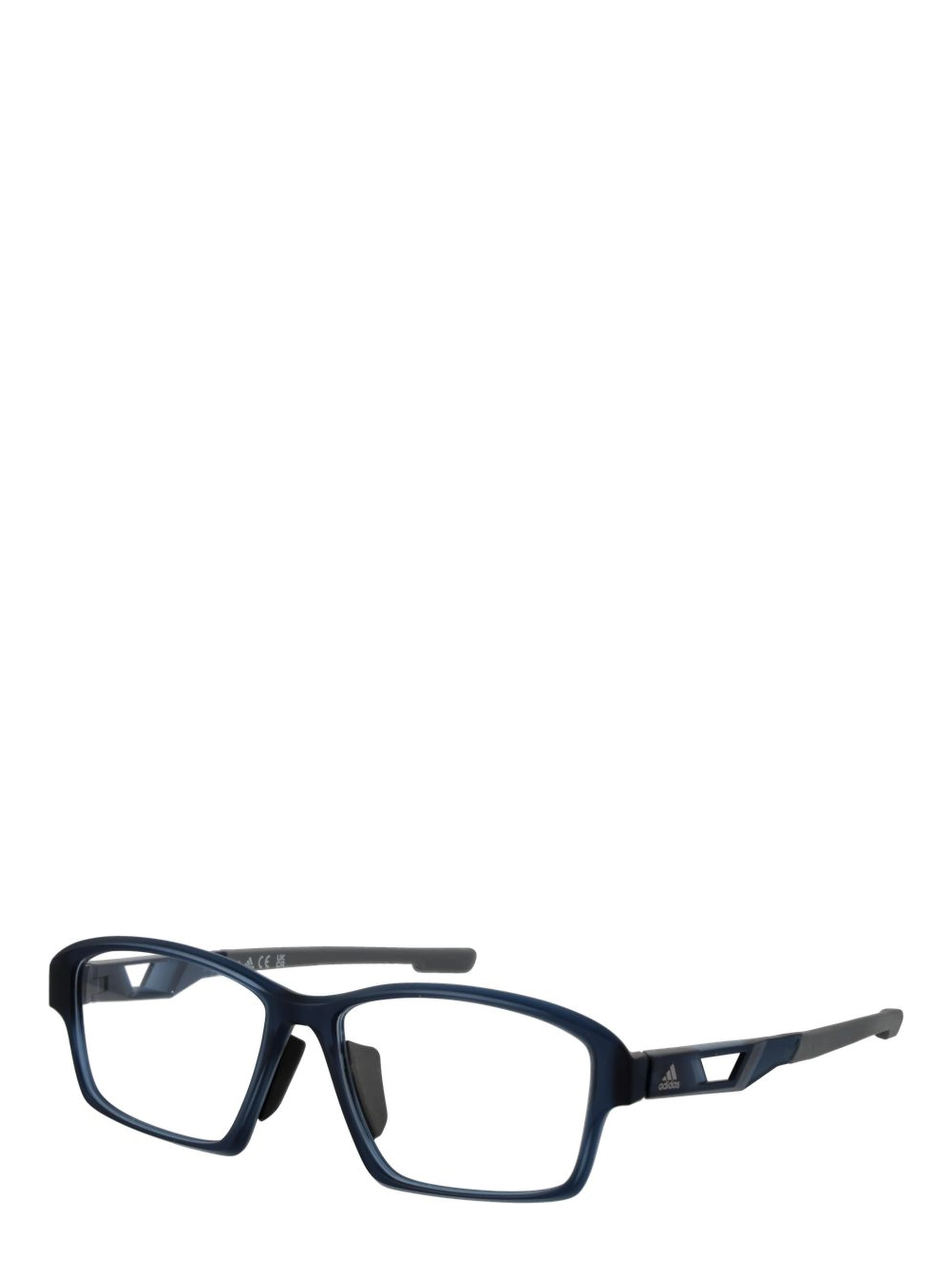 Blue Plastic Glasses (Frames)