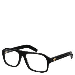 Black Plastic Glasses (Frames)