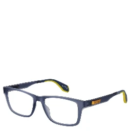 Blue Plastic Glasses (Frames)