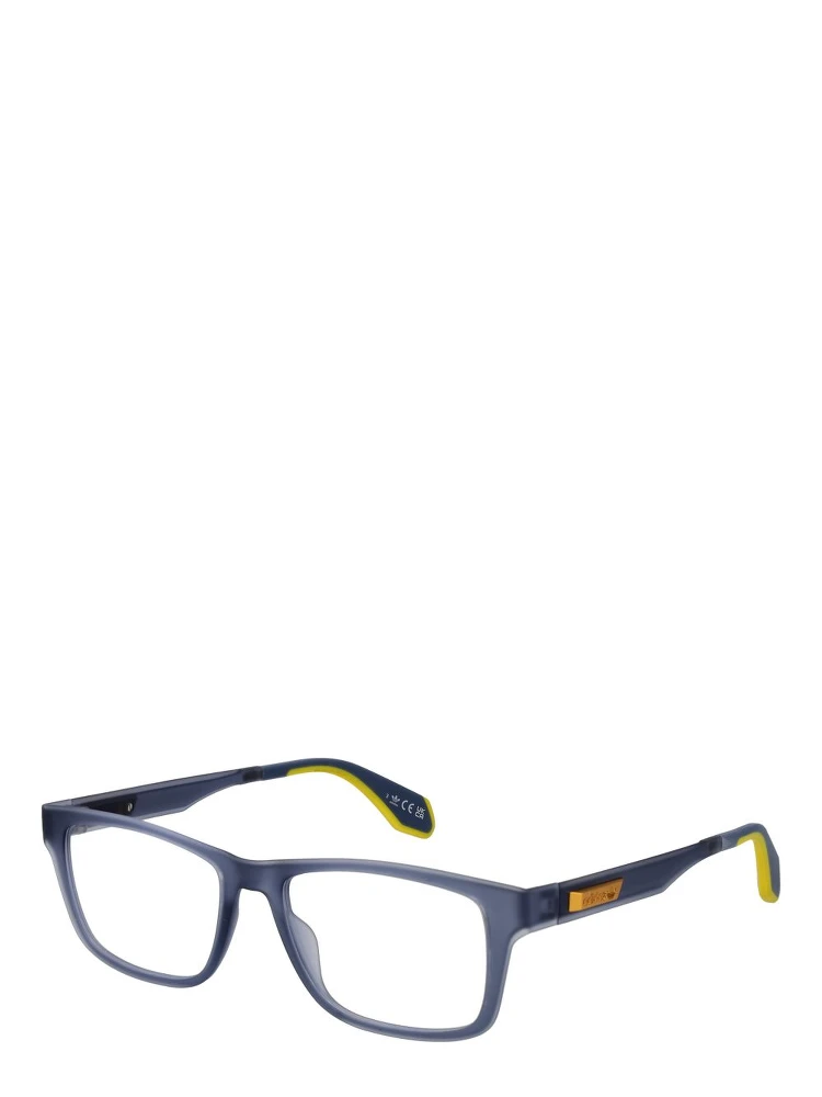 Blue Plastic Glasses (Frames)