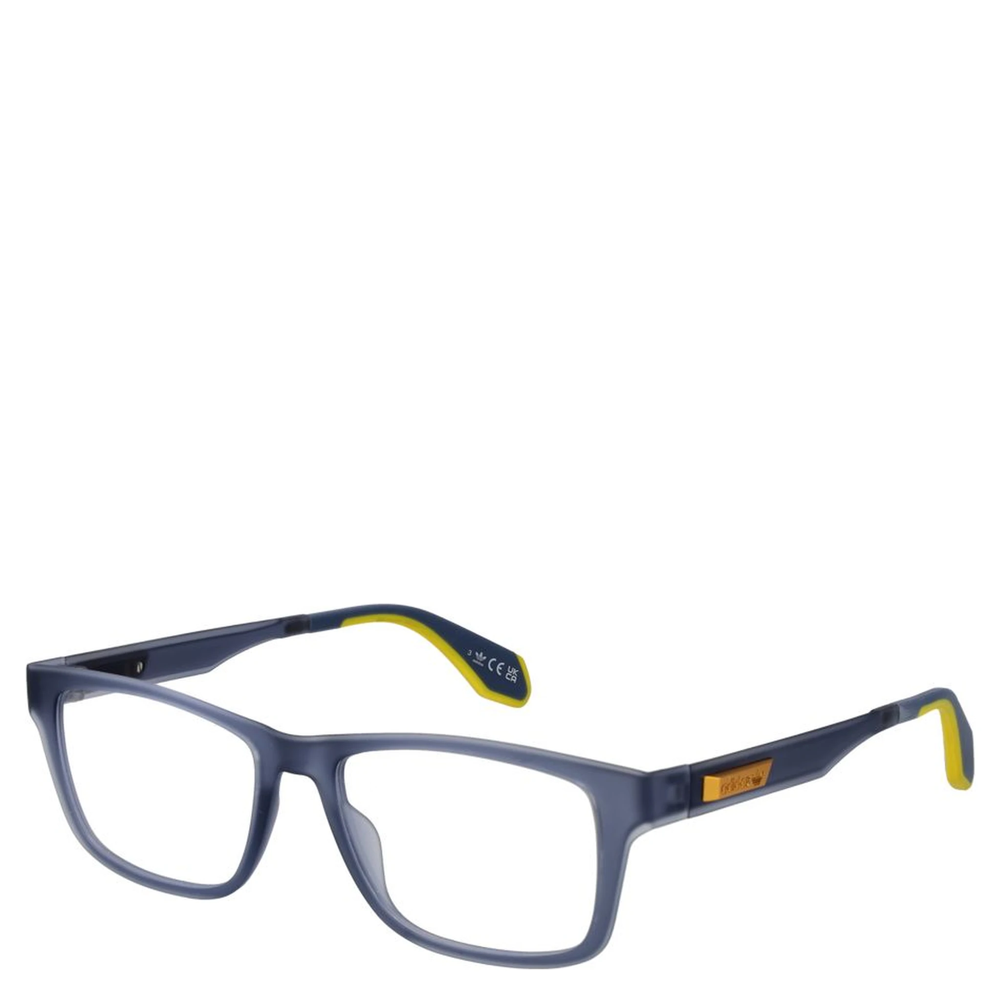 Blue Plastic Glasses (Frames)