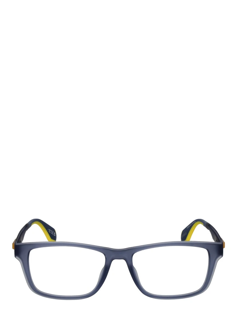 Blue Plastic Glasses (Frames)