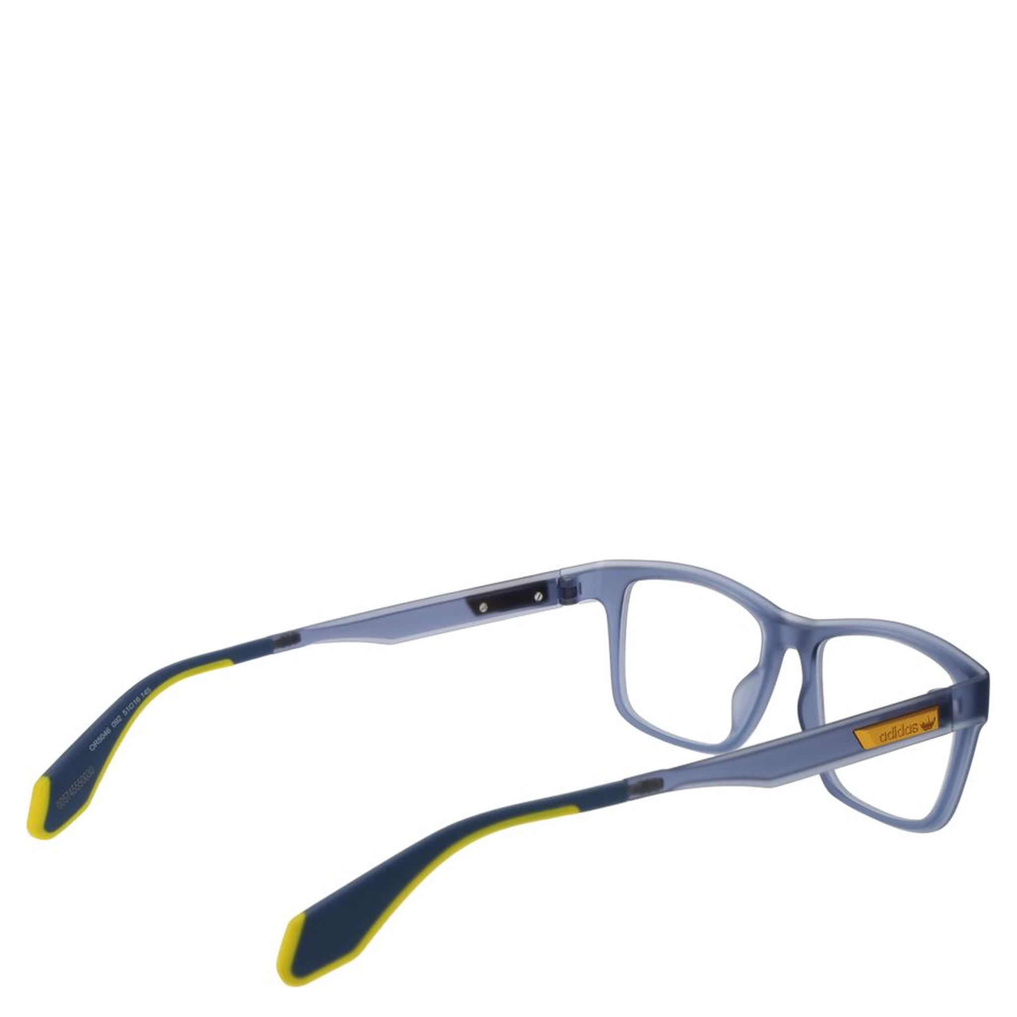Blue Plastic Glasses (Frames)