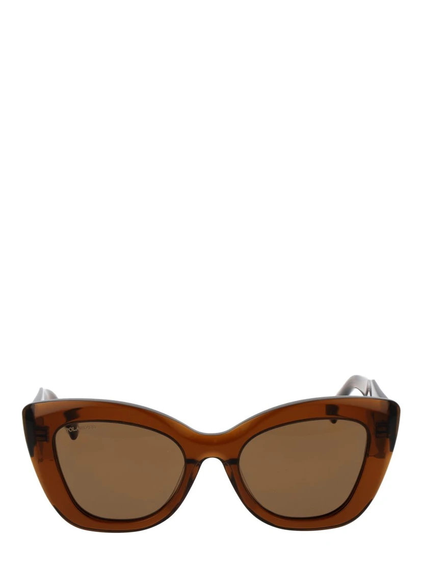 Brown Acetate Sunglasses