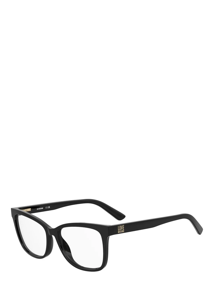 Black Plastic Glasses (Frames)