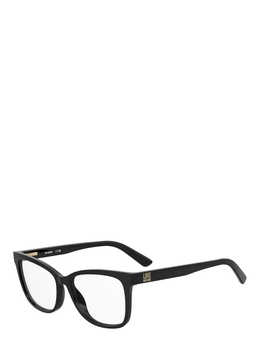 Black Plastic Glasses (Frames)