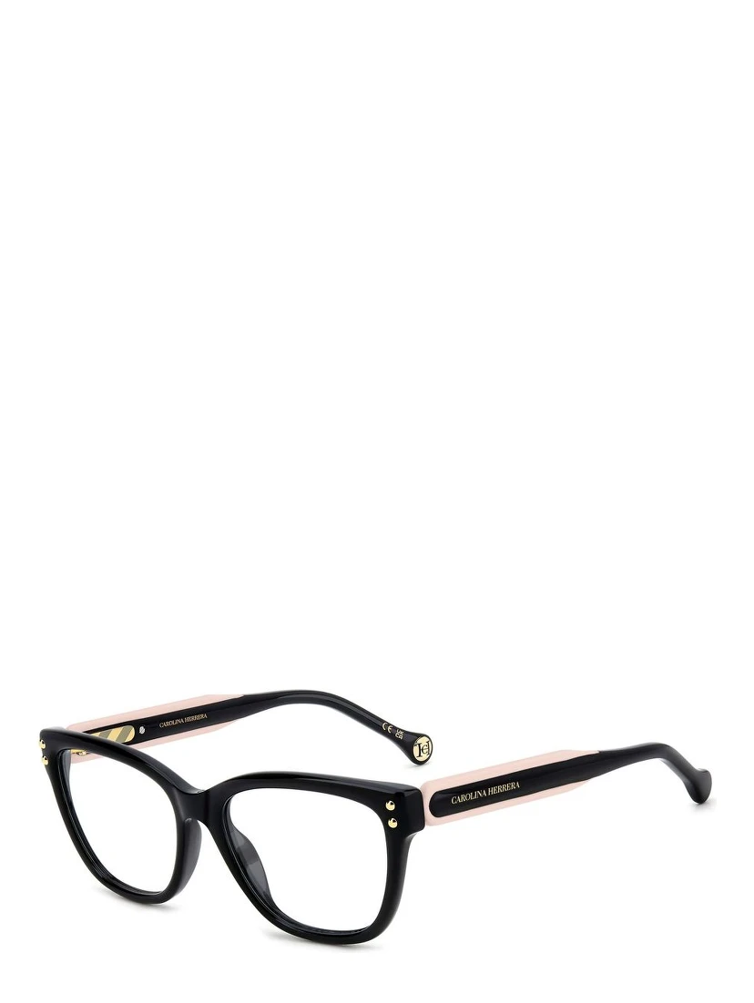 Black Plastic Glasses (Frames)