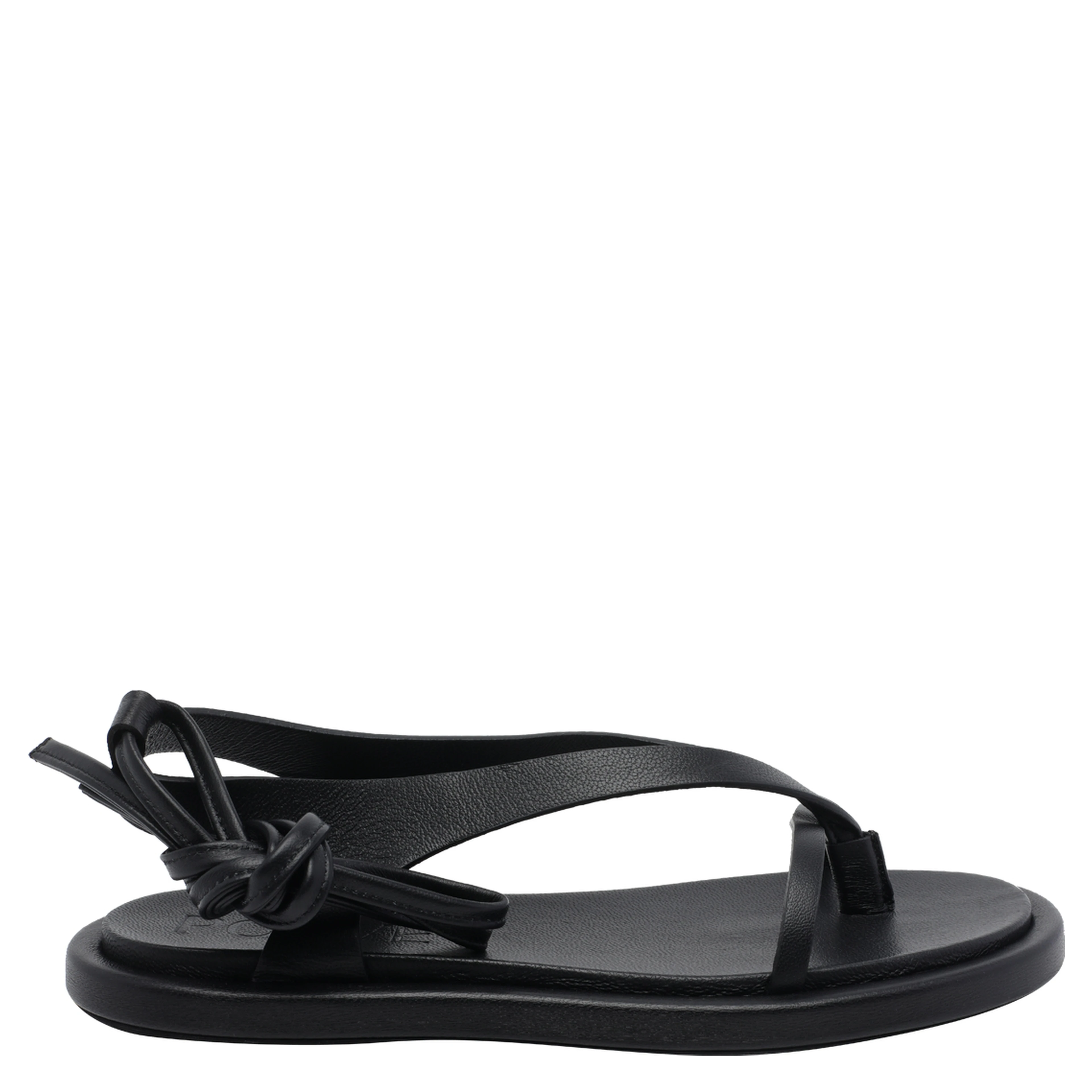 POEVE  Black