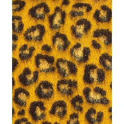 Bottega Veneta Sweaters